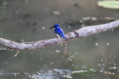 Day 67 - 17th September – Kakadu
