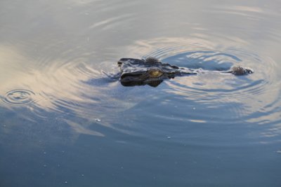 Day 67 - 17th September – Kakadu