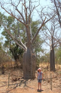 Katherine to Kununurra -  1st October