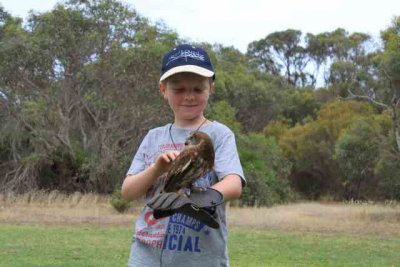 Kangaroo Island - 17th December