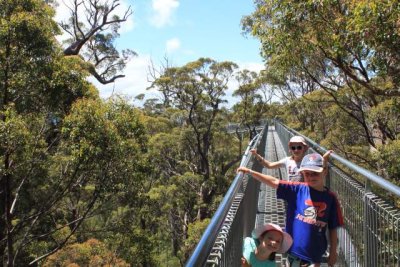 Tree Tops Walk Tree Tops Walk